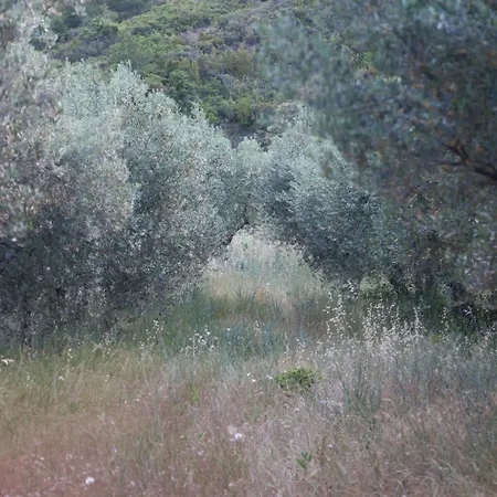 Mas De Baubesse: Paradise In Provence * 레보드프로방스